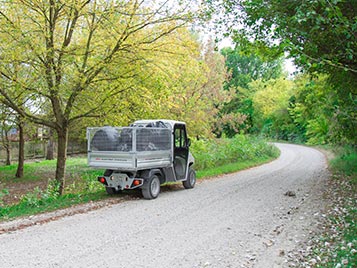 Servi&ccedil;os ecol&oacute;gicos