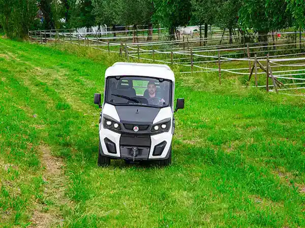 Veículos elétricos para parques e propriedades rurais
