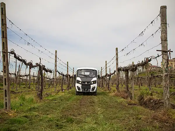 Veículos elétricos para vinhas