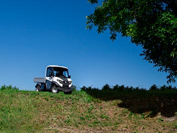 Qual &eacute; o pre&ccedil;o dos carros de golfe? ALKE'