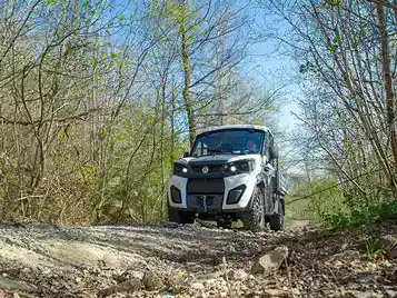 Veículos comerciais 4x4