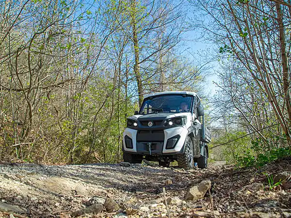 Veículos comerciais 4x4