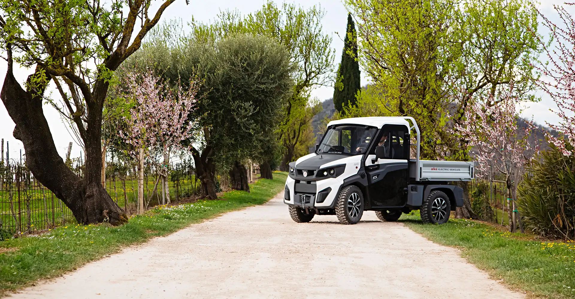 Veículos todo-o-terreno elétricos 4x4 ATX 480