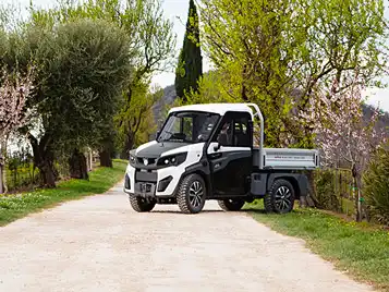 Veículos todo-o-terreno elétricos 4x4 ATX 480